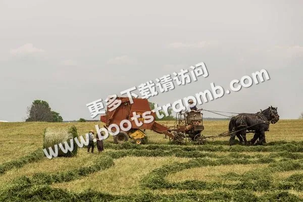 ⊞ Portfolio - 九游huataihao